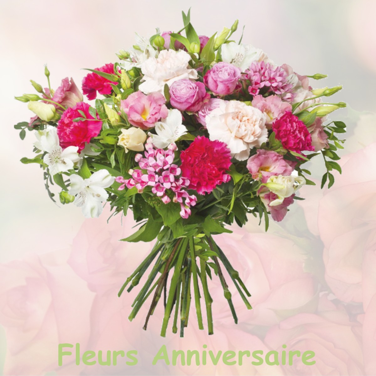 fleurs anniversaire VILLARGOIX